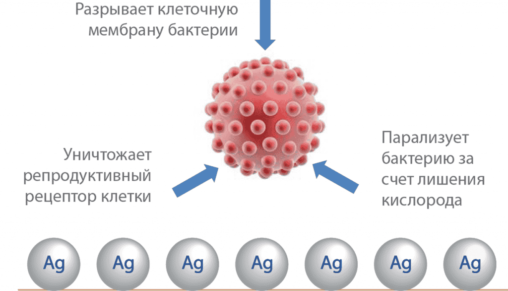 KORRTO - сертификаты